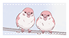 Two Finches