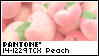Peaches Pantone